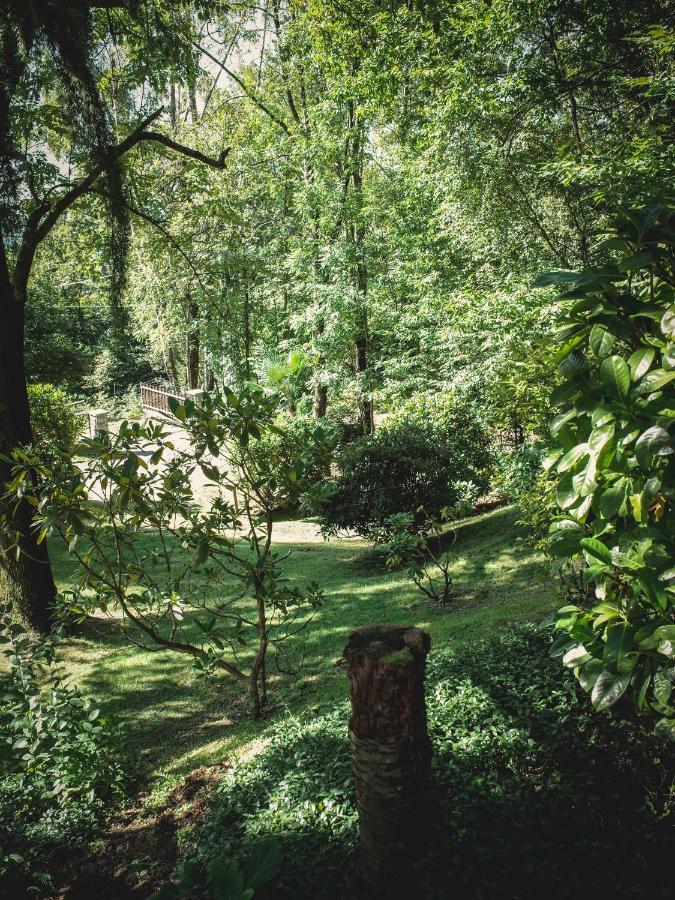 Corte Di Cavne' Villa Miazzina Esterno foto